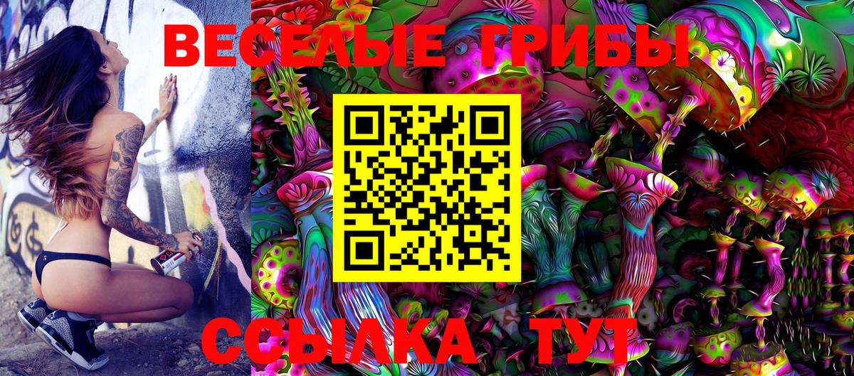 Псилоцибиновые грибы Psilocybe  Вход с VPN  Галлюциногенные грибы Magic Shrooms  Владимир 
